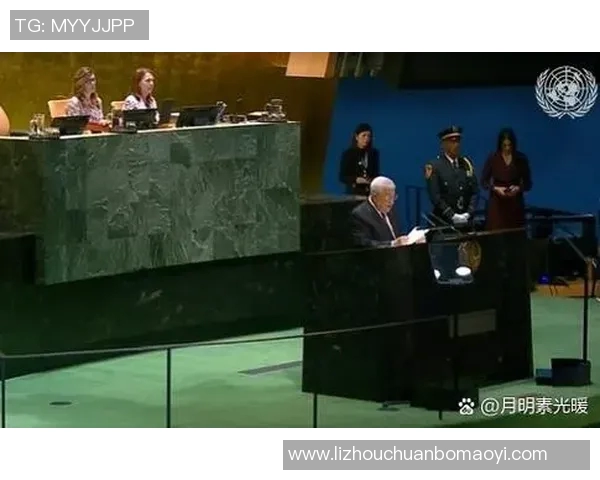 巴勒斯坦与西班牙联合的历史交汇与未来展望分析