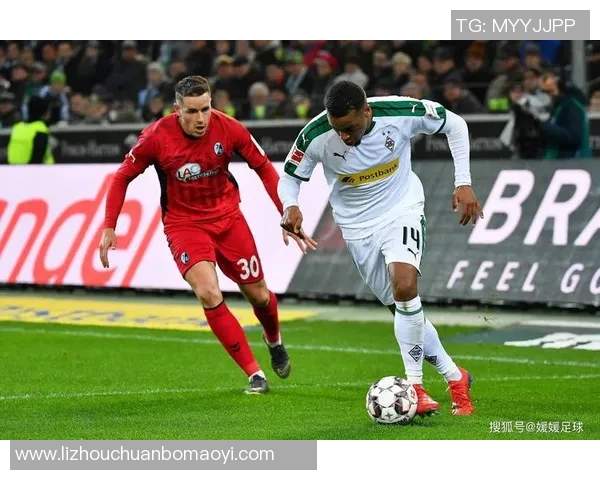 霍芬海姆主场迎战纽伦堡力争三分争夺积分榜优势